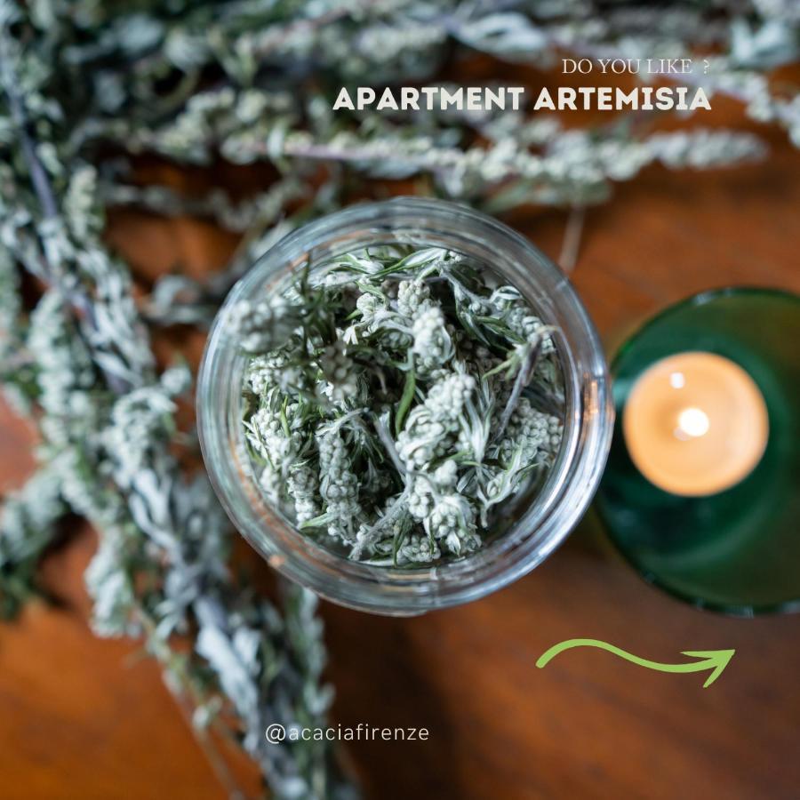 Acacia Firenze Apartments Artemisia-Angelica Exterior foto